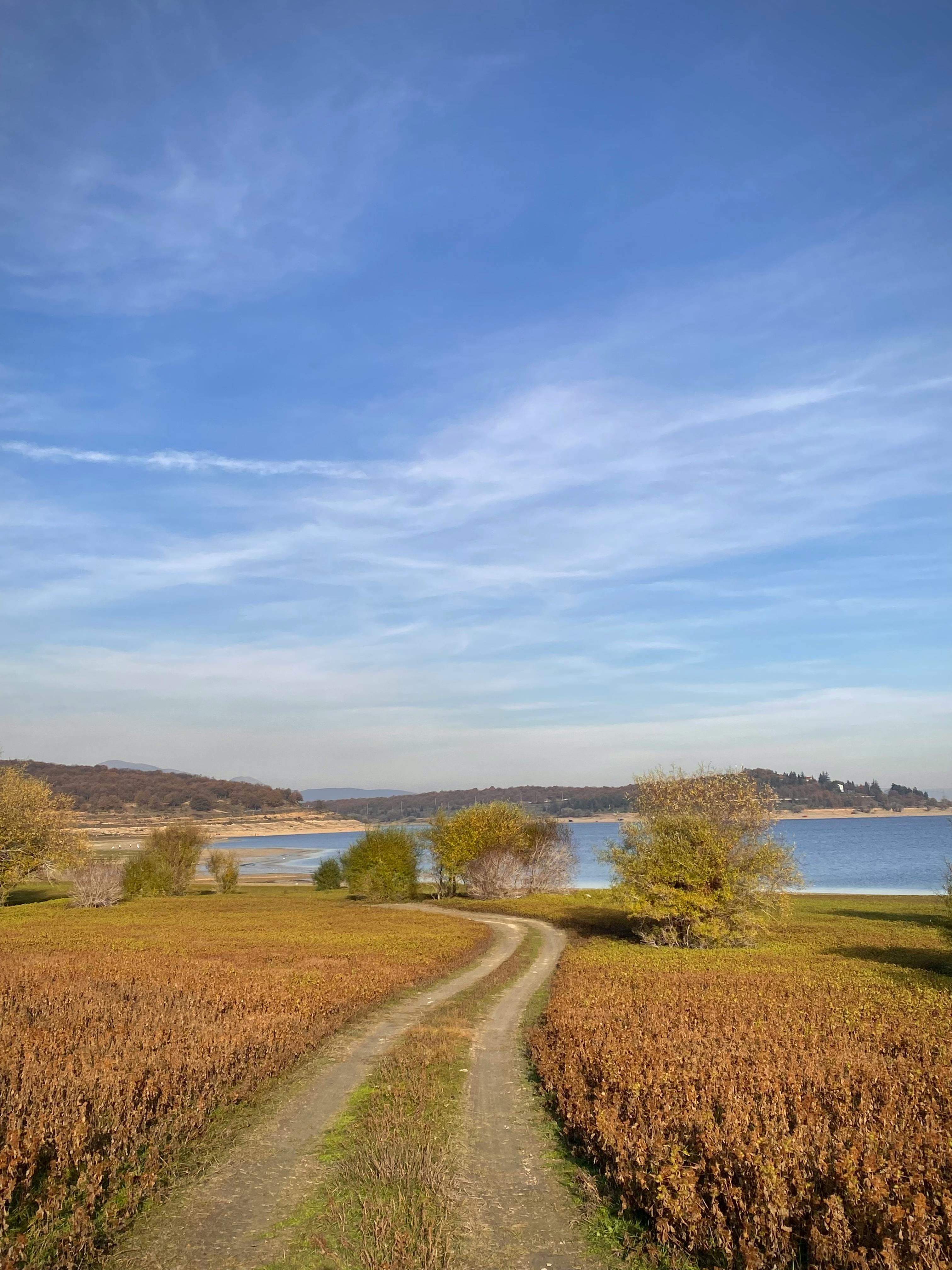 Folsom Lake State Recreation Area